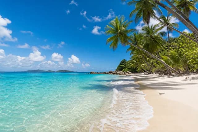 Realistic style — a tropical beach with turquoise water and palm trees